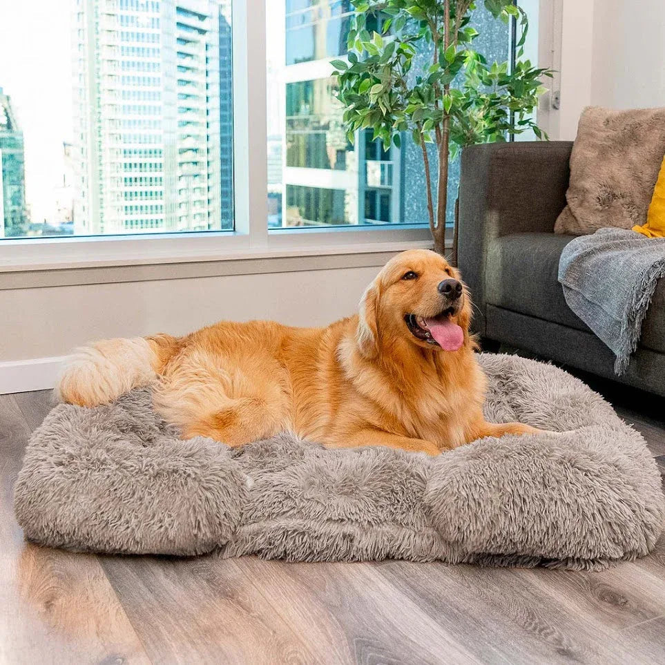 Wolkenbed Hondenbed | Orthopedisch & Kalmerend