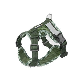 Hondentuig & Riem Set | Mesh | Kleine Honden