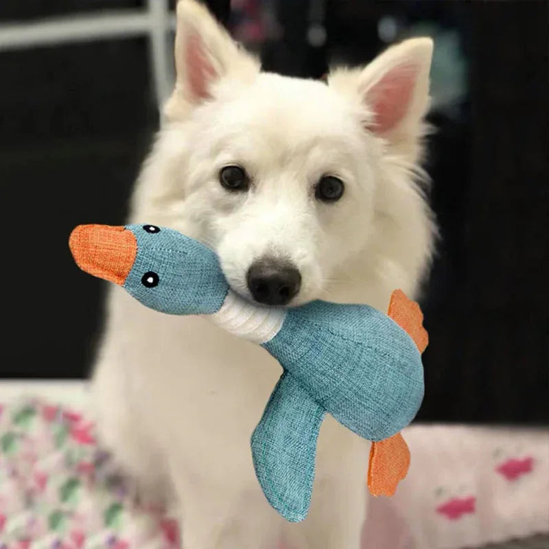 Kauwspeelgoed Hond | Duurzaam | Tandverzorging | 2-pak