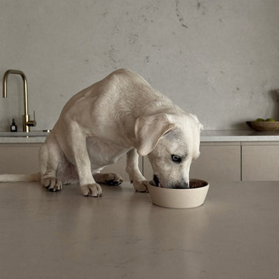 Eten & Drinken