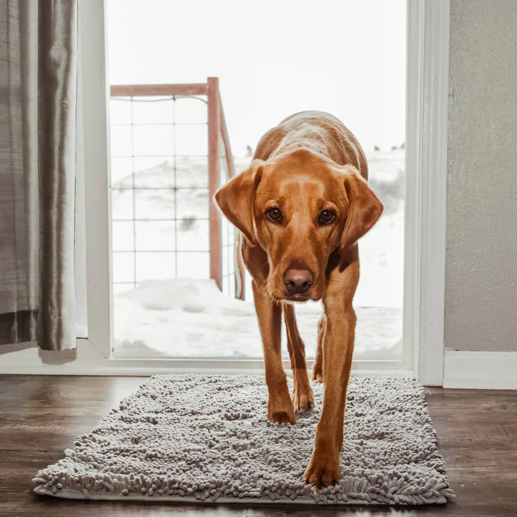 CleanPaw Mat | Schoonloopmat voor Honden