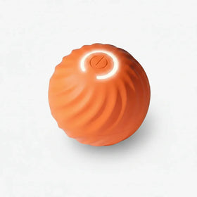 Interactieve Bal voor Hond & Kat | Automatisch Rollend