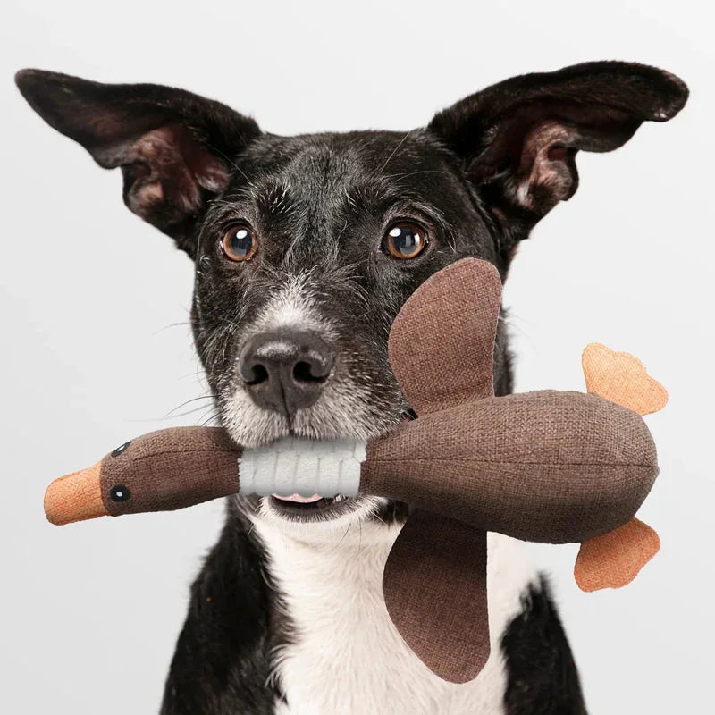 Kauwspeelgoed Hond | Duurzaam | Tandverzorging | 2-pak