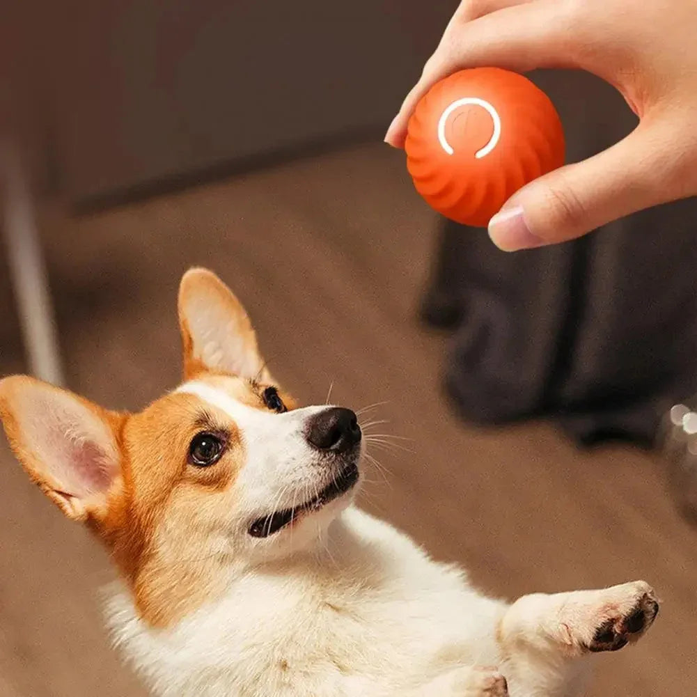 Interactieve Bal voor Hond & Kat | Automatisch Rollend