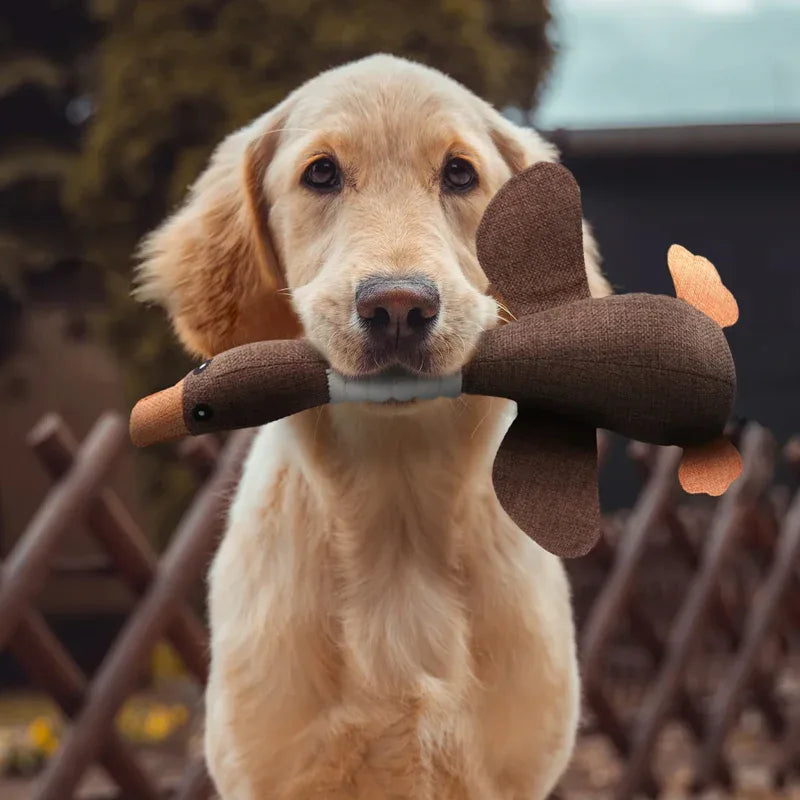 Kauwspeelgoed Hond | Duurzaam | Tandverzorging | 2-pak
