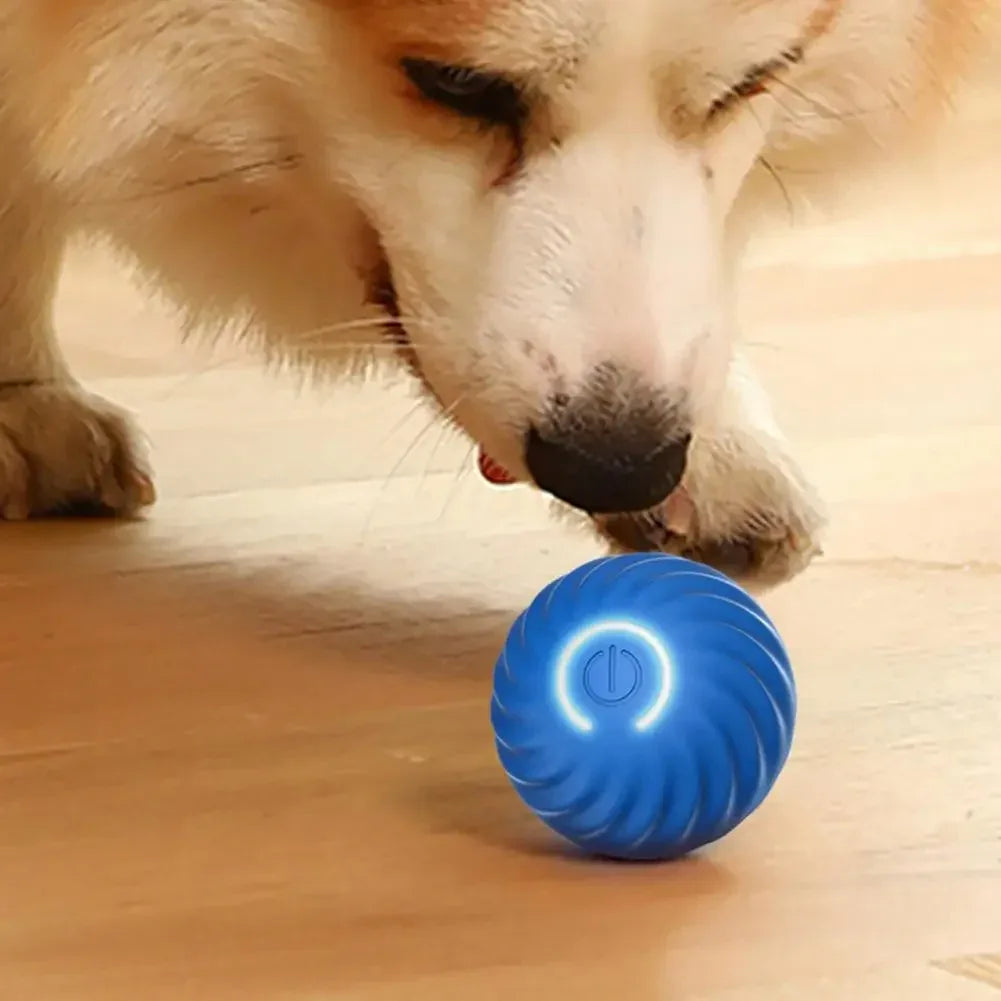 Interactieve Bal voor Hond & Kat | Automatisch Rollend